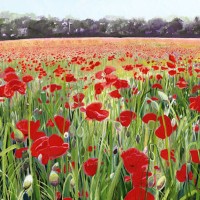 Pyrford Poppies – Sicilian Artist Teresa Scannella – Surrey Artists Gallery – White Rose Art Group Woking