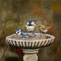Birds Bath Time Oil Painting – Croydon Art Society Artist Mandy Gomm
