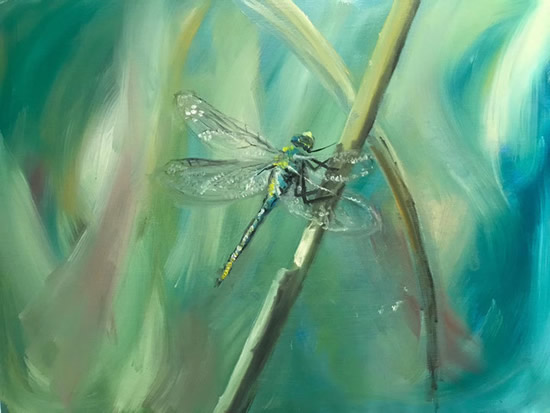 Odes of the Dragonfly - Original Art - Surrey Wildlife Artist Omay Lee