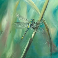 Odes of the Dragonfly - Original Art by Surrey Artist Omay Lee