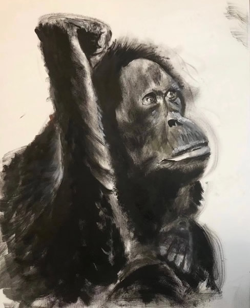 Orangutan - Contemplation - Animal Artist Omay Lee