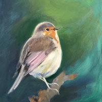 To a Robin – Bird – Wildlife Artist Omay Lee