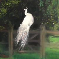 White Peacock of the Morn – Original Artwork – Surrey Artist Omay Lee