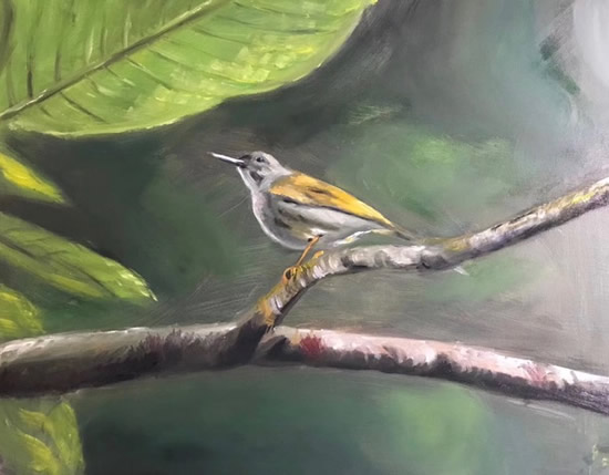 Yellow Sunbird on Branch - Original Artwork - Omay Lee